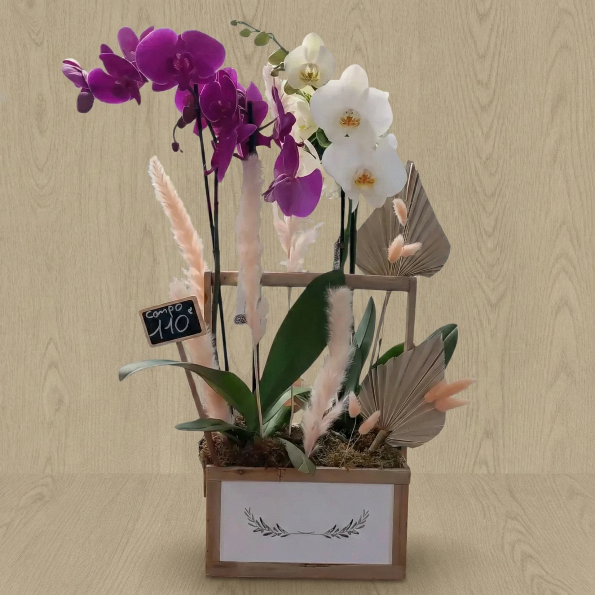 Orchidée compo 110€
