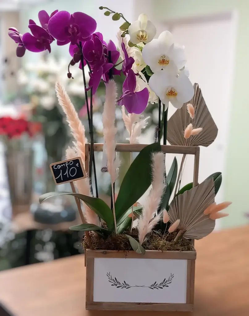 Orchidée compo 110€