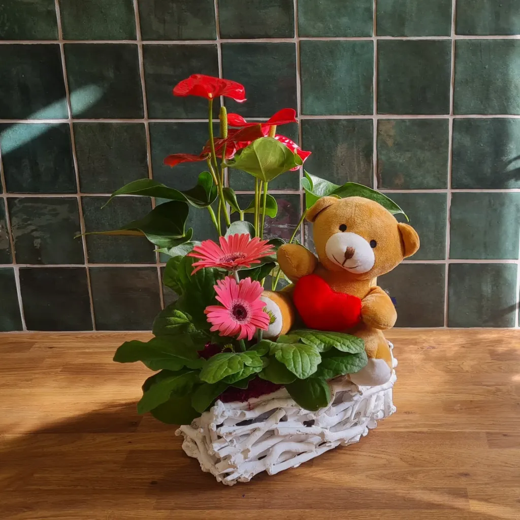 Assemblage plantes et ours