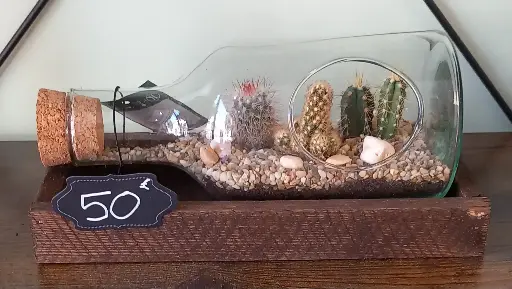 Bouteille cactus